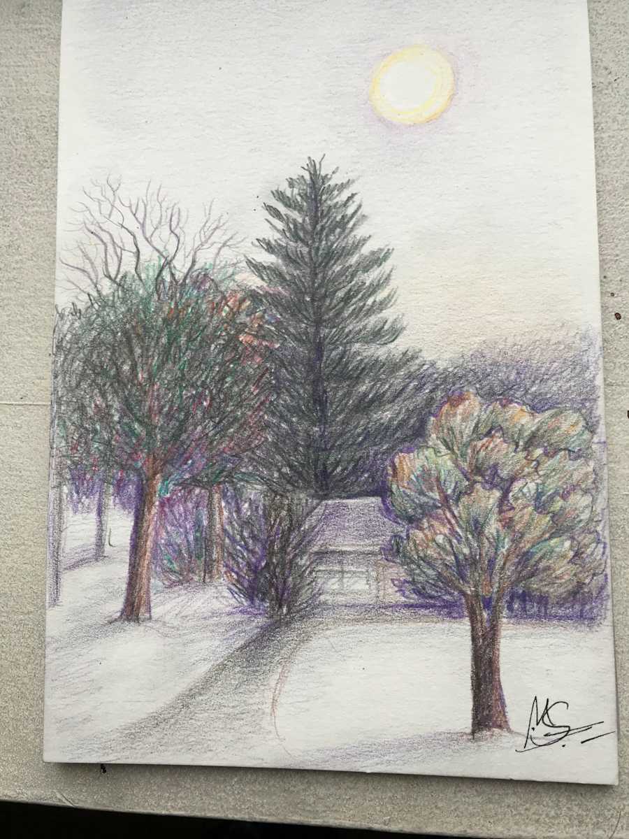 Front Yard in Winter 