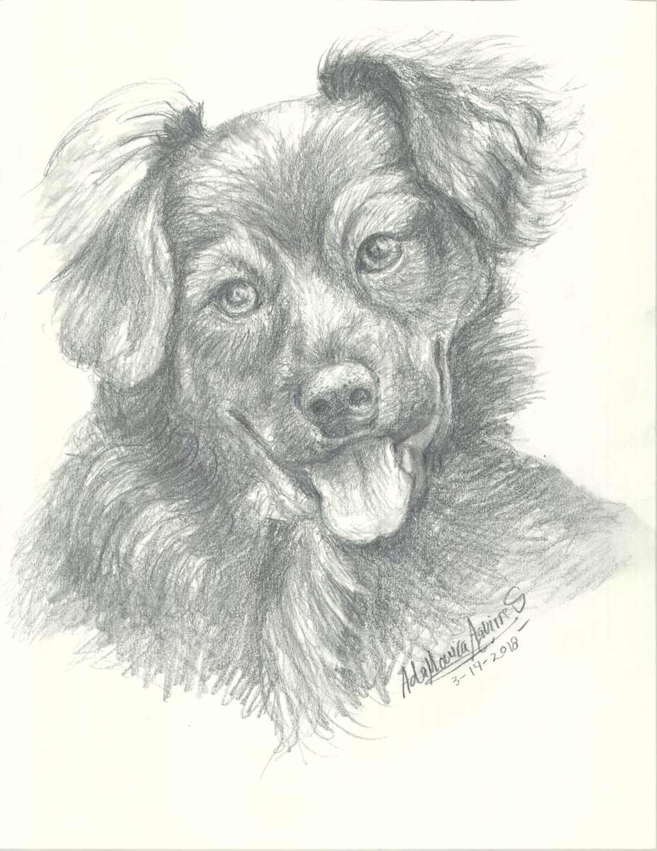 Happy Pup by Ada Monica Sperling 