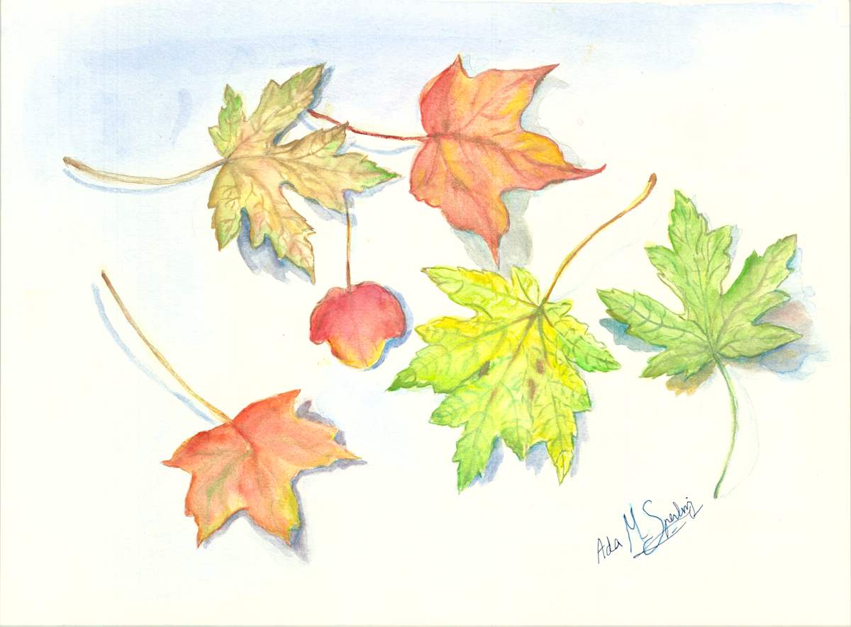 Leaf and Shadow by Ada Monica Sperling 