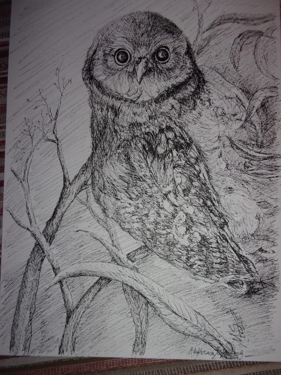 Owl I by Ada Monica Sperling 