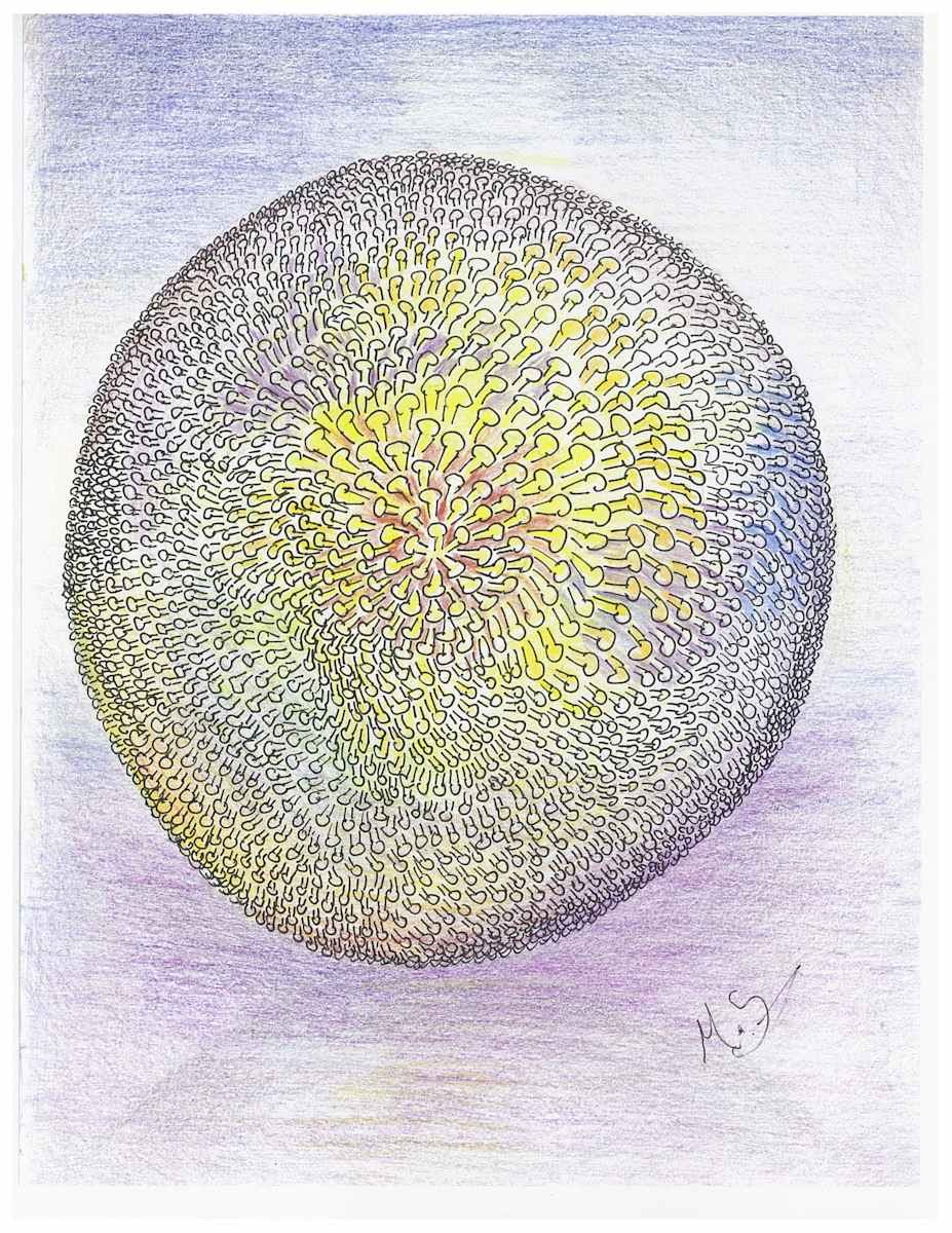 Thought 