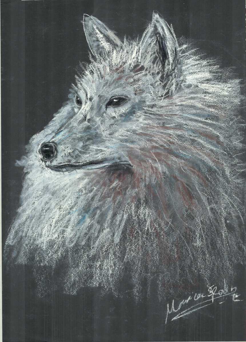 Winter Wolf by Ada Monica Sperling 