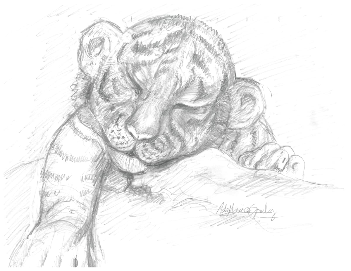 Baby Tiger by Ada Monica Sperling 
