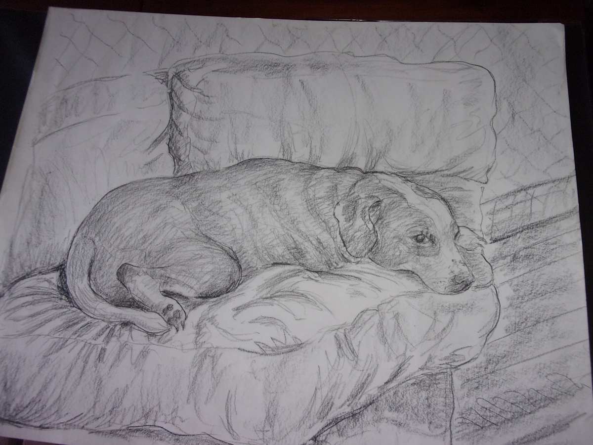 Lacey on Couch by Ada Monica Sperling 