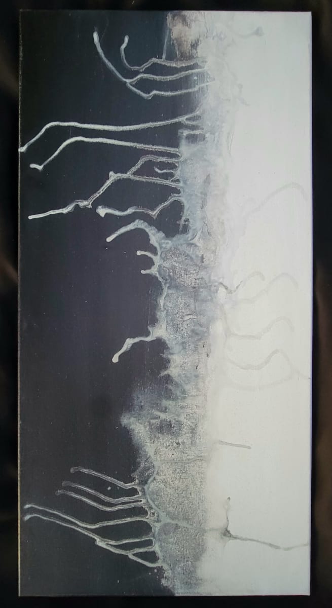 The Binary by Sean Patrick Philibin 