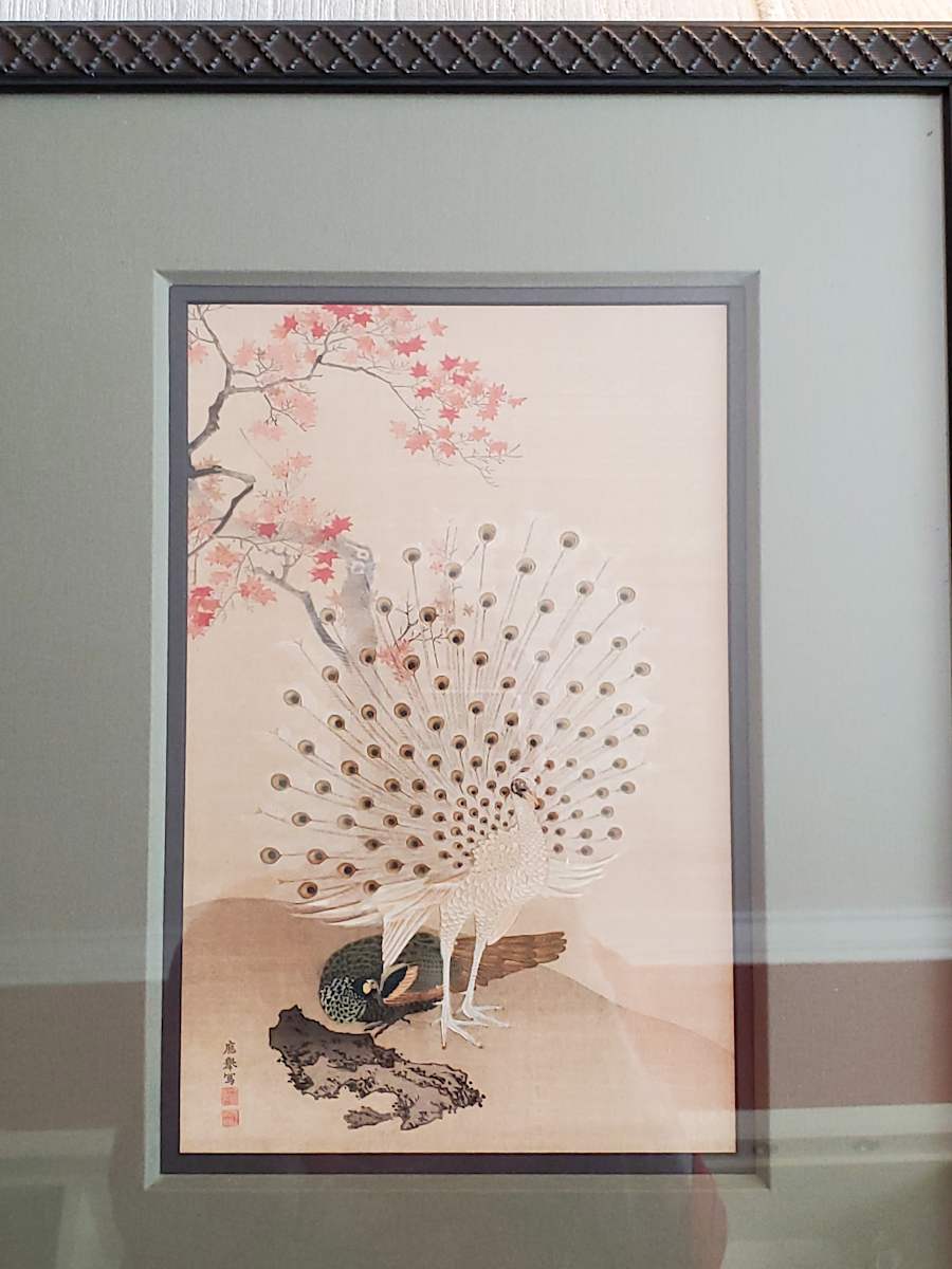 Albino Peacock by China (artist unknown) 