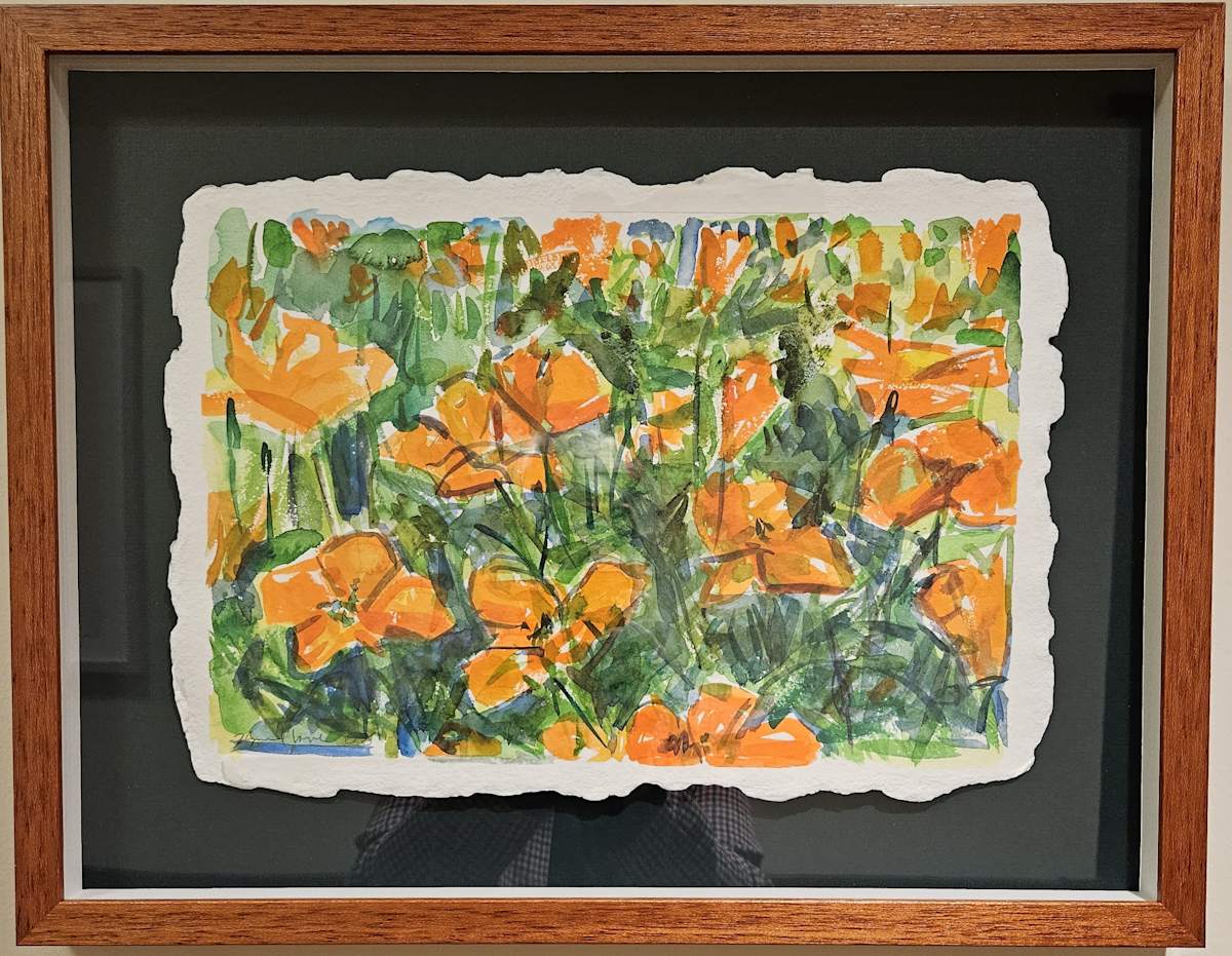 California Poppies by Zolita Sverdlove 
