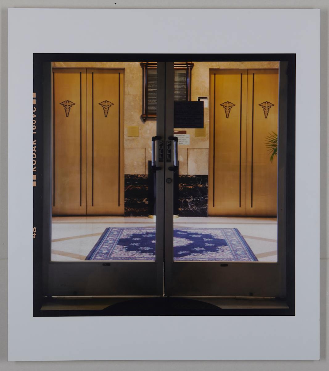 Atrium Series by Kireilyn Barber, Image 2.