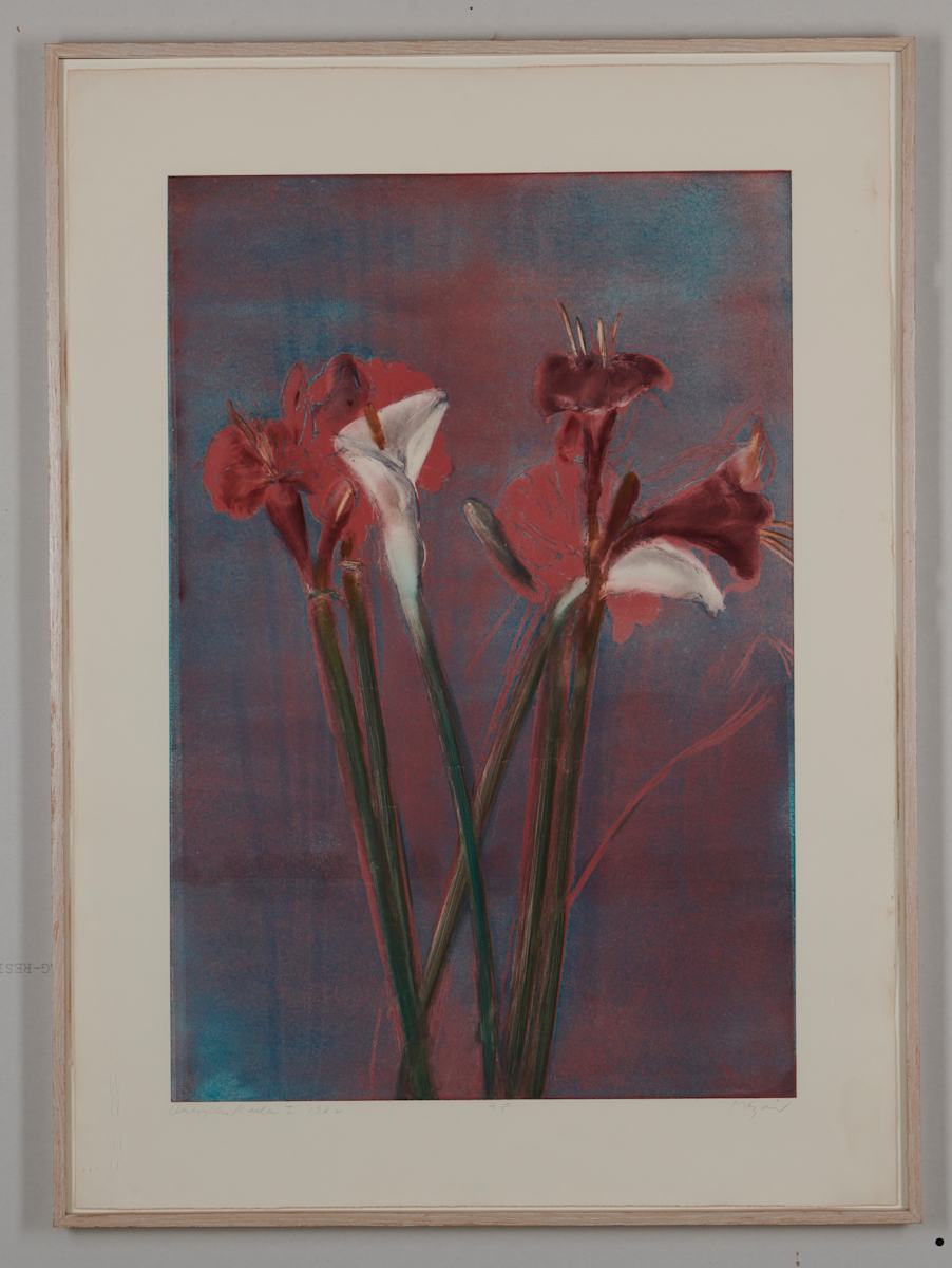 Amaryllis/Calla I by Michael Mazur, Image 2.