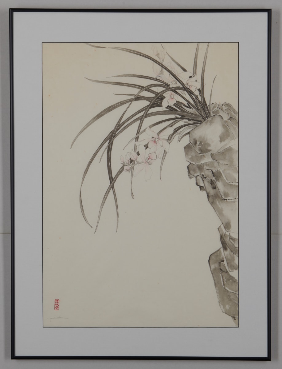 Cymbidiums I by Pat C Tom 