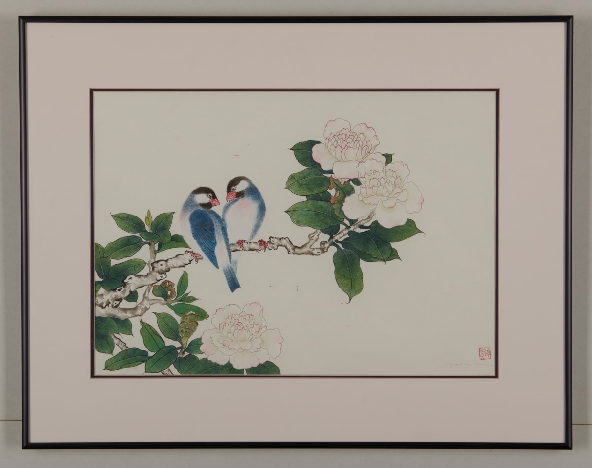 Java Sparrows in Camellia Tree by Pat C Tom 