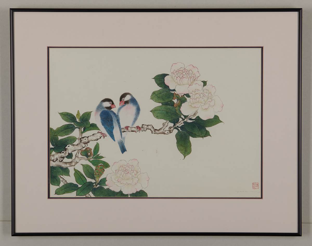 Java Sparrows in Camellia Tree by Pat C Tom, Image 2.