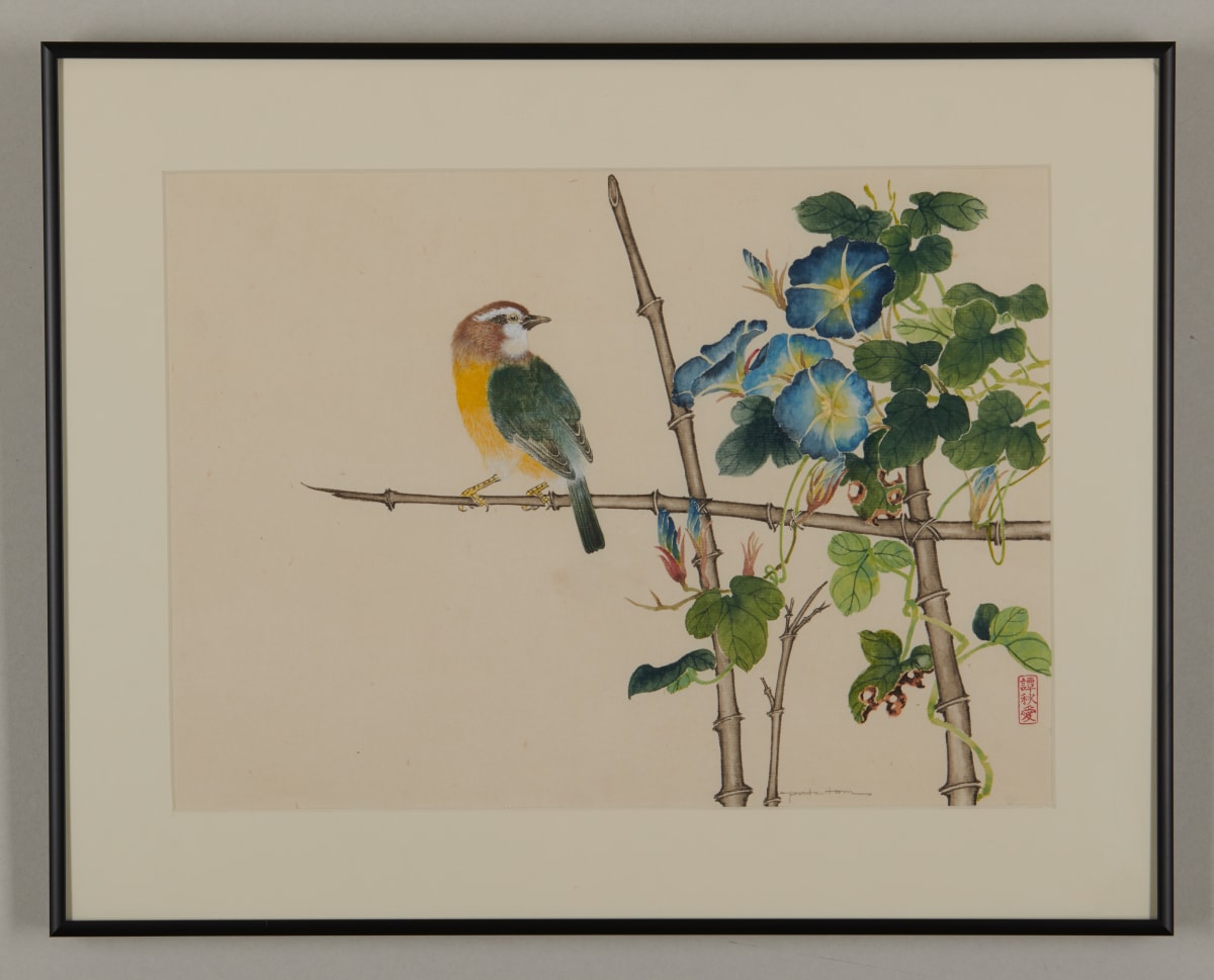 Morning Glories and Finch by Pat C Tom 