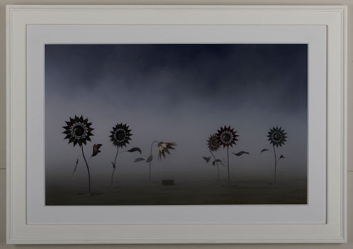 Burning Man Series, Flower Garden by Zev Berman 