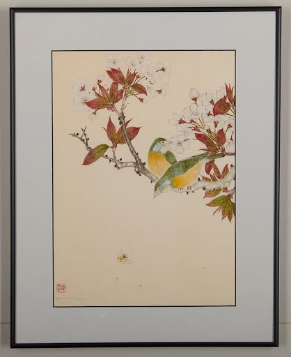 White Eyes in Flowering Plum Tree by Pat C Tom 