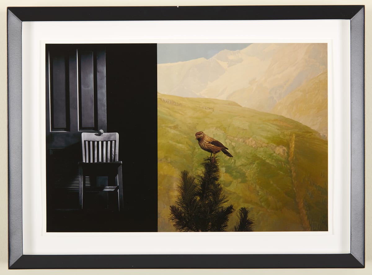 Chair and Bird by Eileen Cowin 