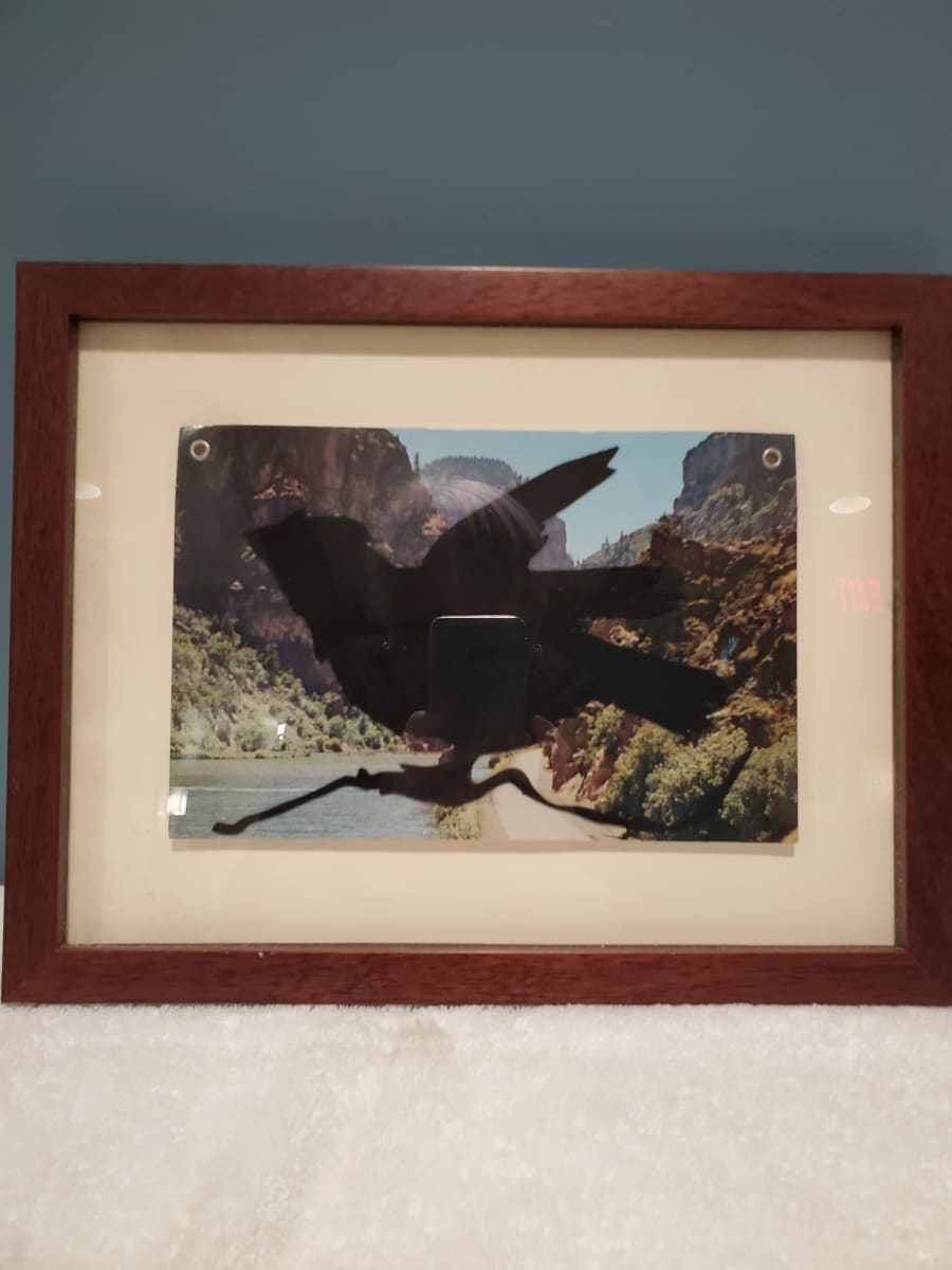 Crow by Liz Young 