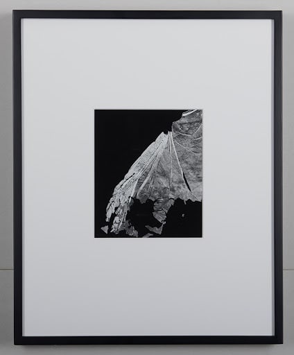 Water Exp. #3 by Jim Curtis 