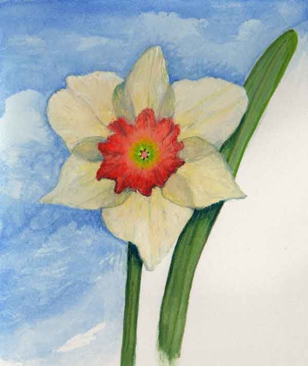 First Daffodil, Image 10.
