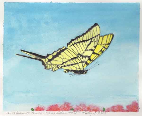 Sunwise Swallowtail, Image 16.