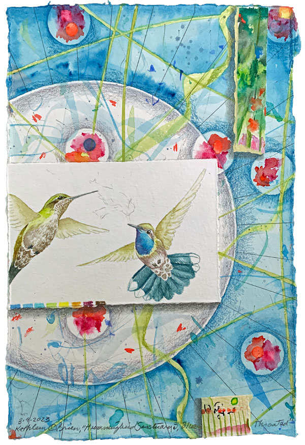 Hummingbird Sanctuary, Blue Throated by Kathleen O'Brien 