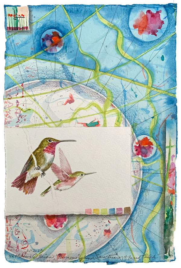 Hummingbird Sanctuary, Broad Tailed by Kathleen O'Brien 