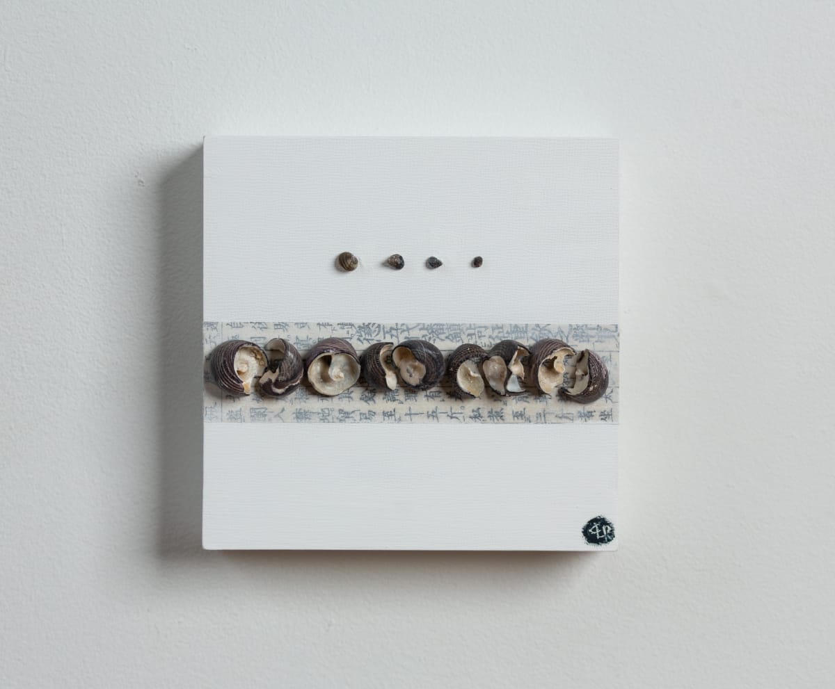 13 little snails (Front view) by CLaire Renaut 