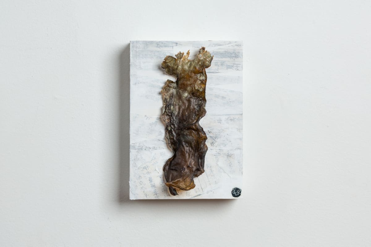 Drape de mer by CLaire Renaut, Image 18.