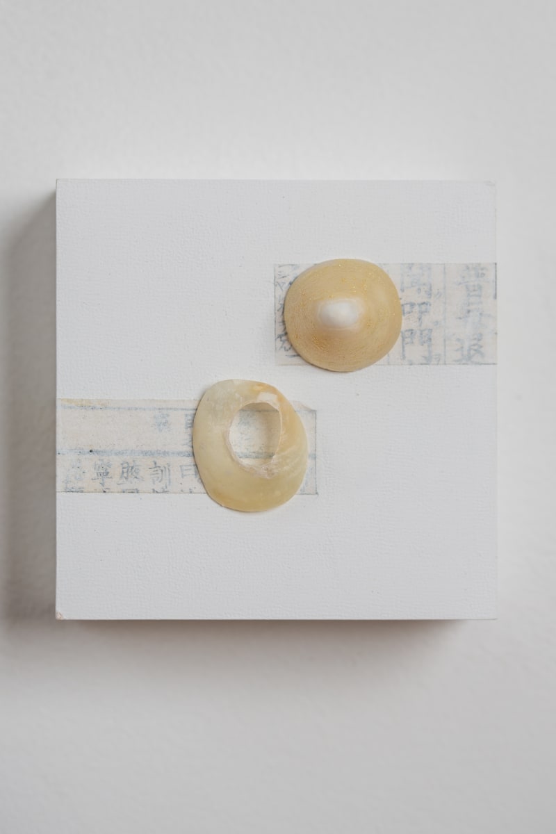 Shell by CLaire Renaut 