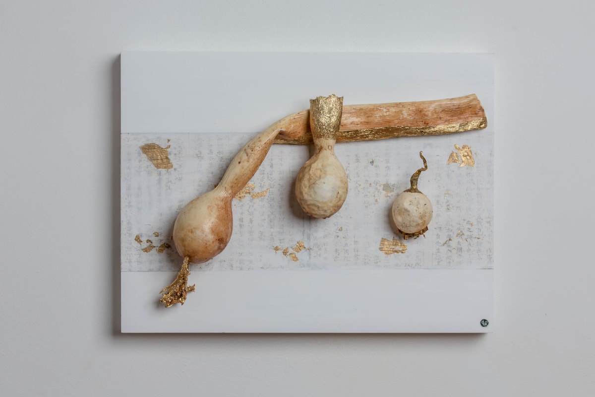 Golden Kelp by CLaire Renaut 