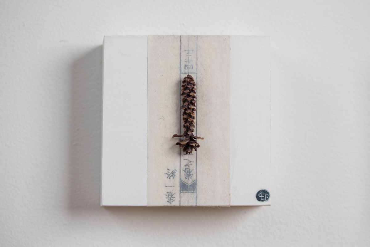 Lone Pine by CLaire Renaut 