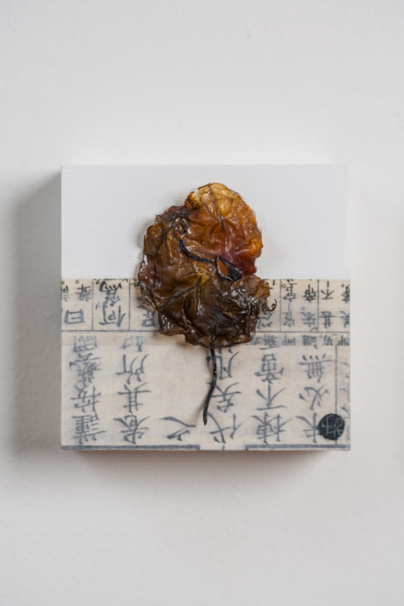 Sea Leaf by CLaire Renaut 