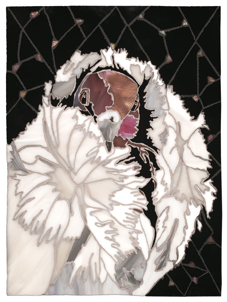 Diamonds in Her Eyes by Sue Rose  Image: This common purple and white rock pigeon is an UNcommon diva. Her white feathers blown up around her purple head make her resemble the glamorous ladies backstage at the opera and ballet. The mosaic floats in a black wood frame.
