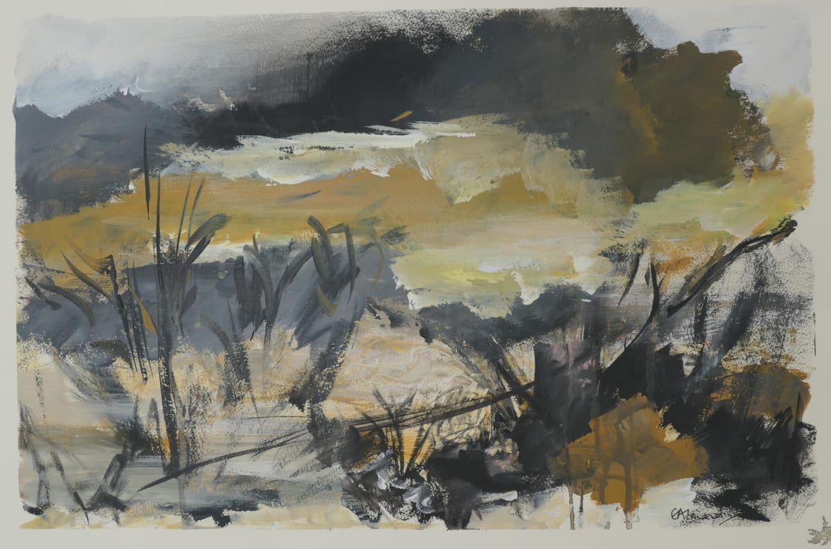 Approaching Storm by Elaine Almond 