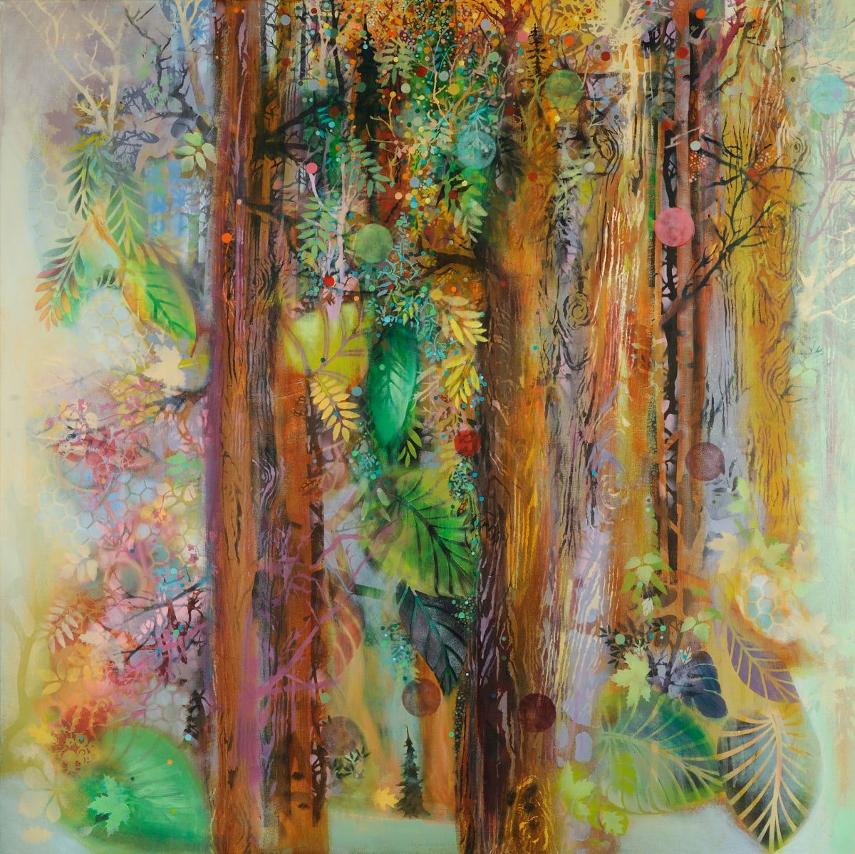 Wood Wind by Pat Goslee  Image: In "Wood Wind" the viewer sees a crepuscular light through the trees on a Rock Creek trail that brings to mind Deep Time, the importance of old growth forests and Native American Peace Trees.
