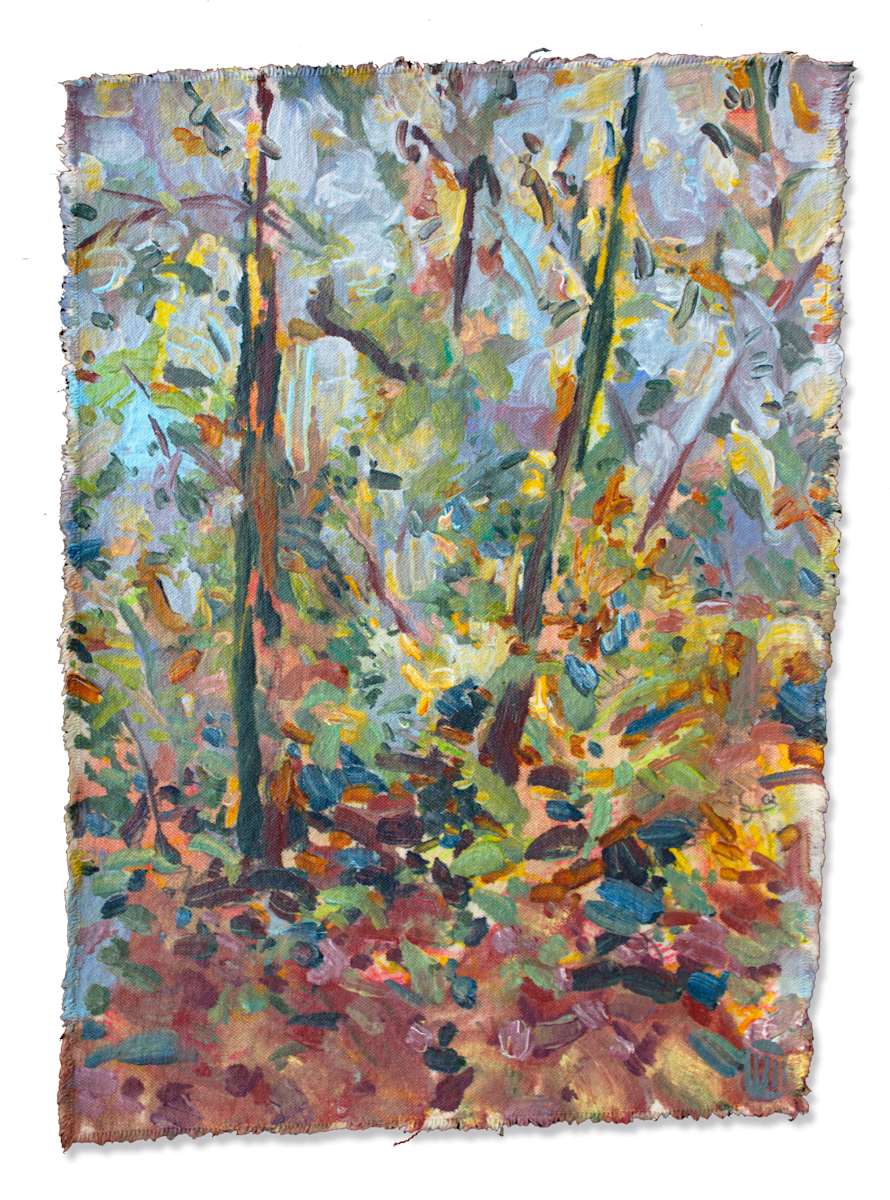 Finding paths in fading light by Thomas Flynn II, Image 2.