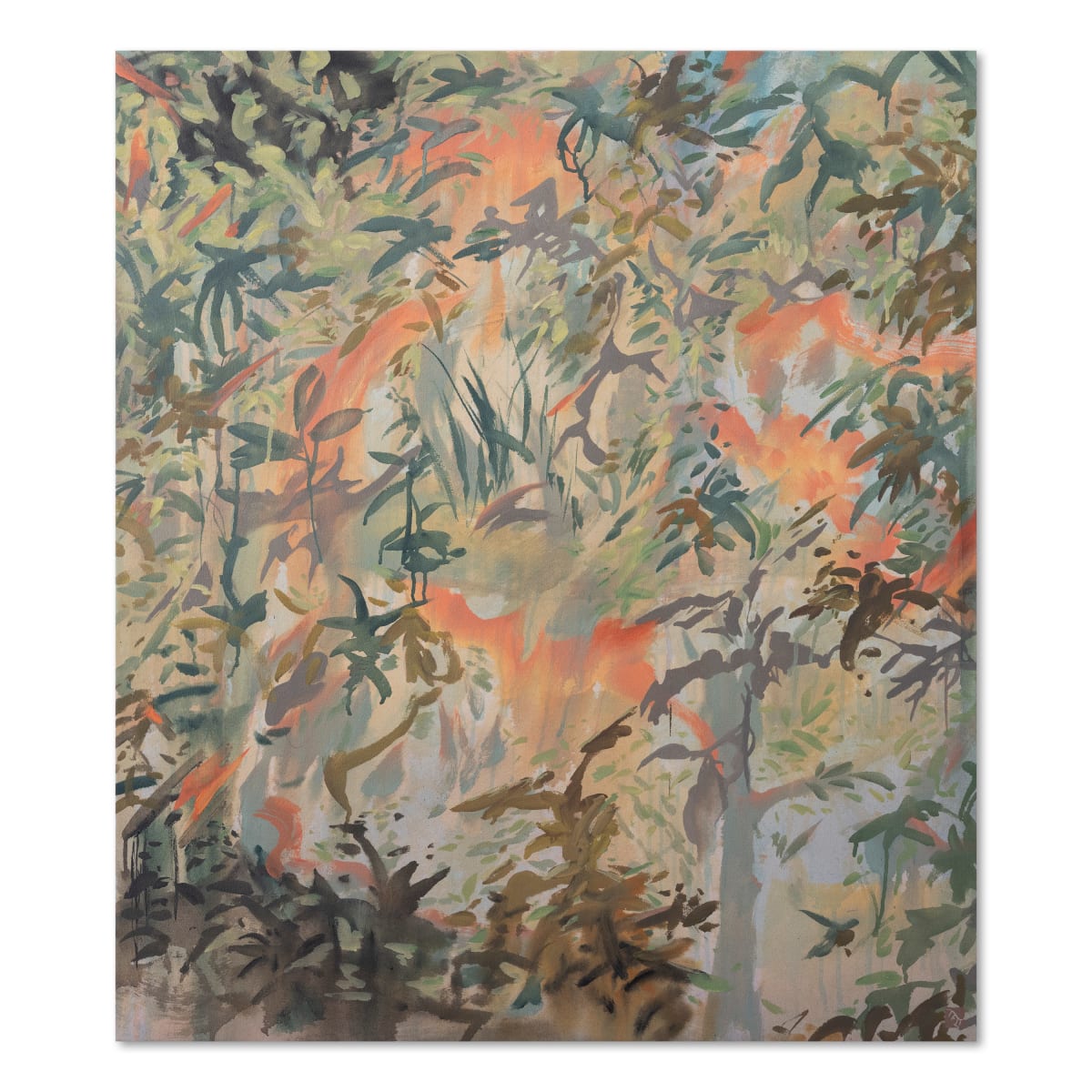 To  Catch the Sun Dreaming by Thomas Flynn II 