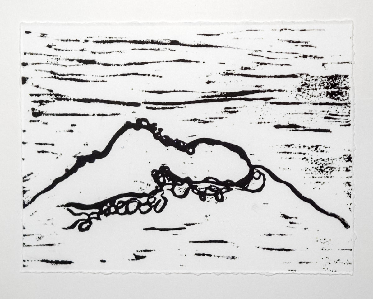 ISL Volcano View 1 B&W by Allison Belolan 