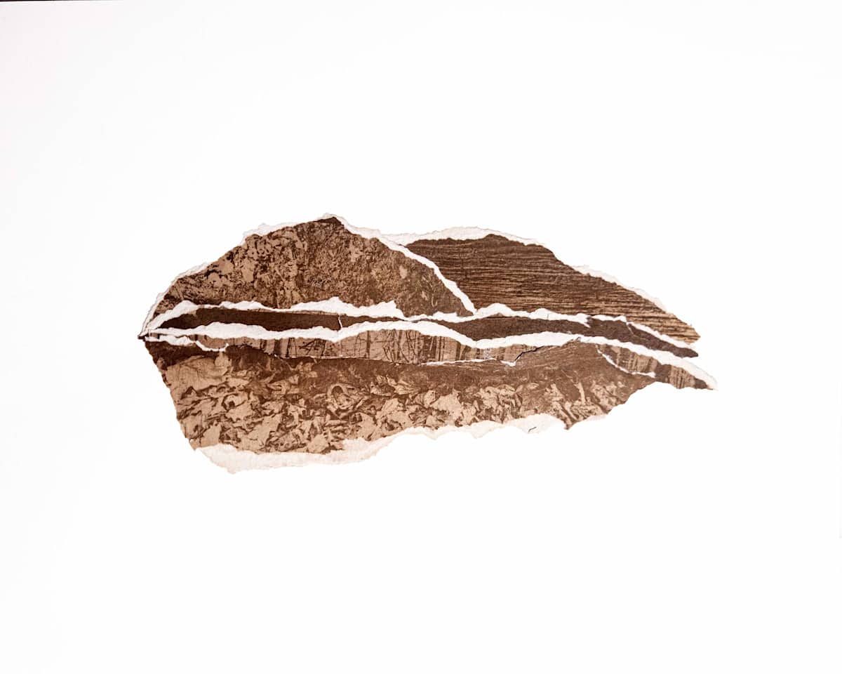 WPR 29 by Allison Belolan, Image 2.
