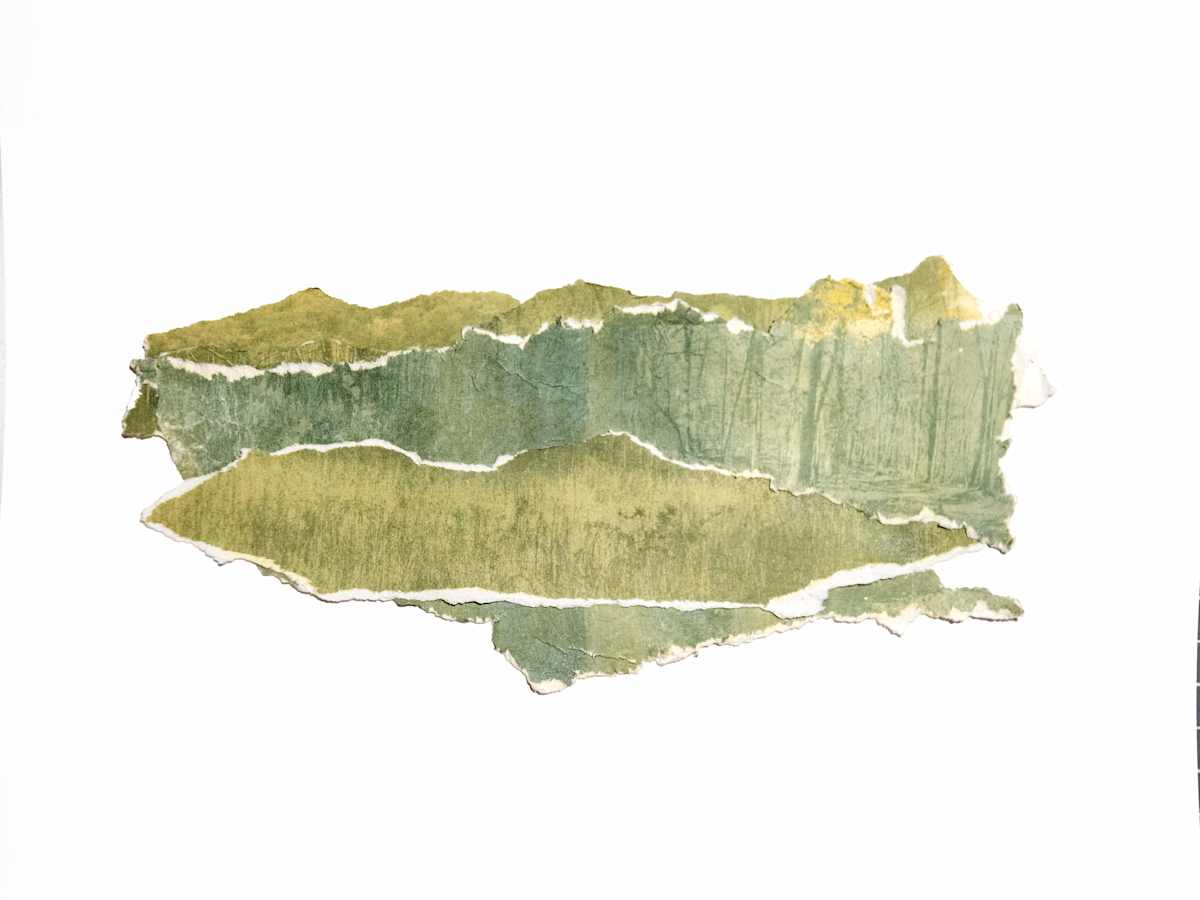 WPR 30 by Allison Belolan, Image 1.