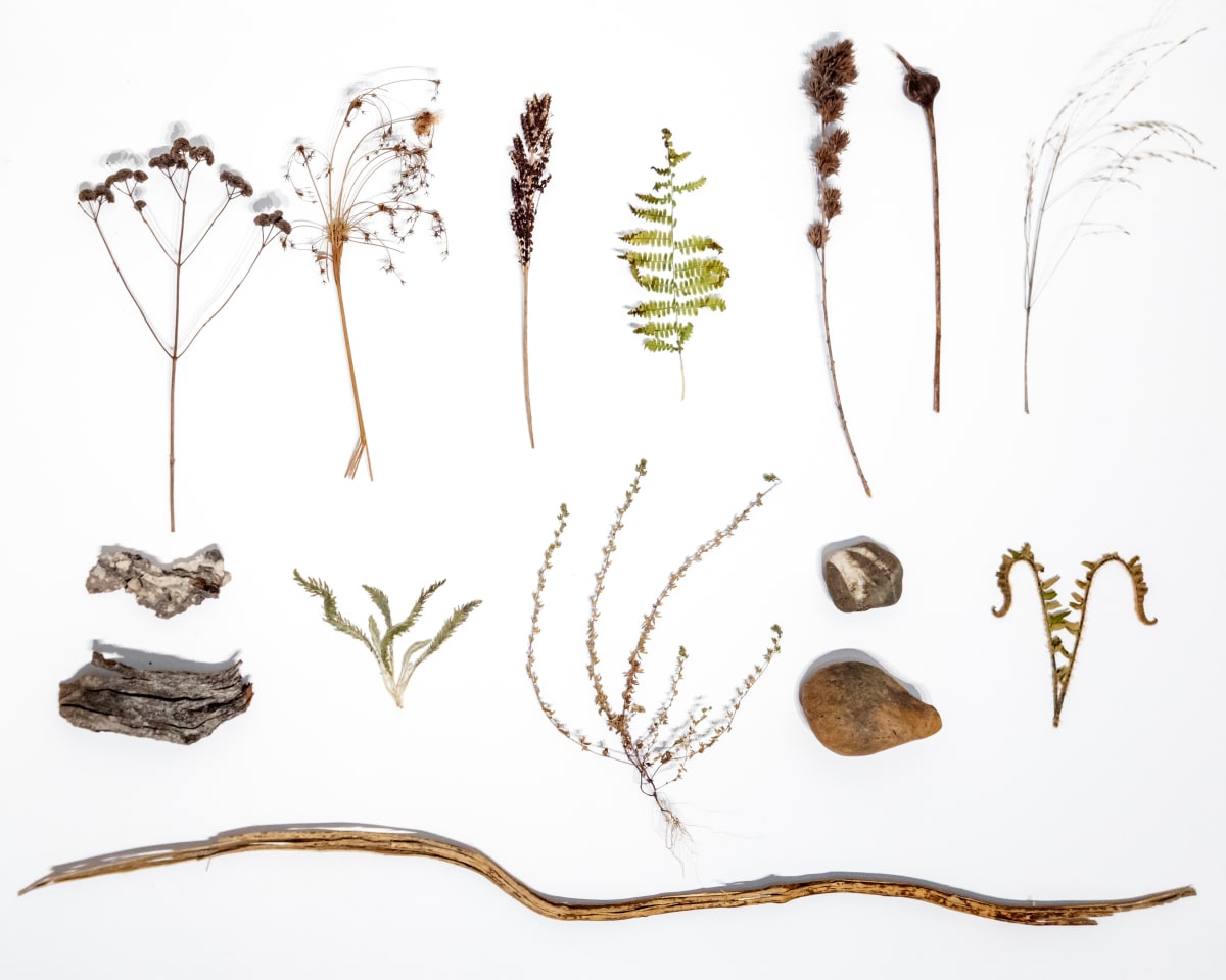 WPR Foraged 1 by Allison Belolan 
