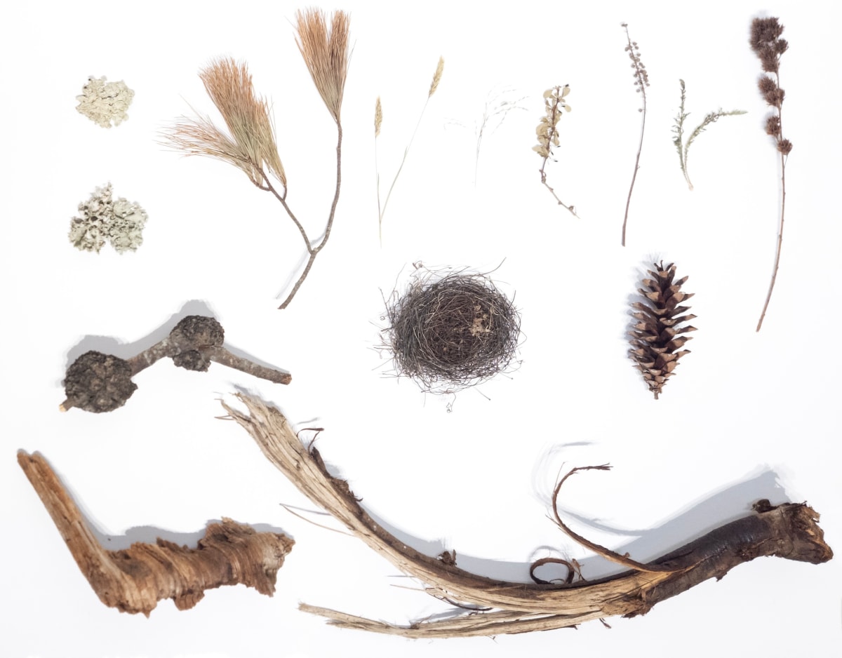 WPR Foraged 2 by Allison Belolan, Image 2.
