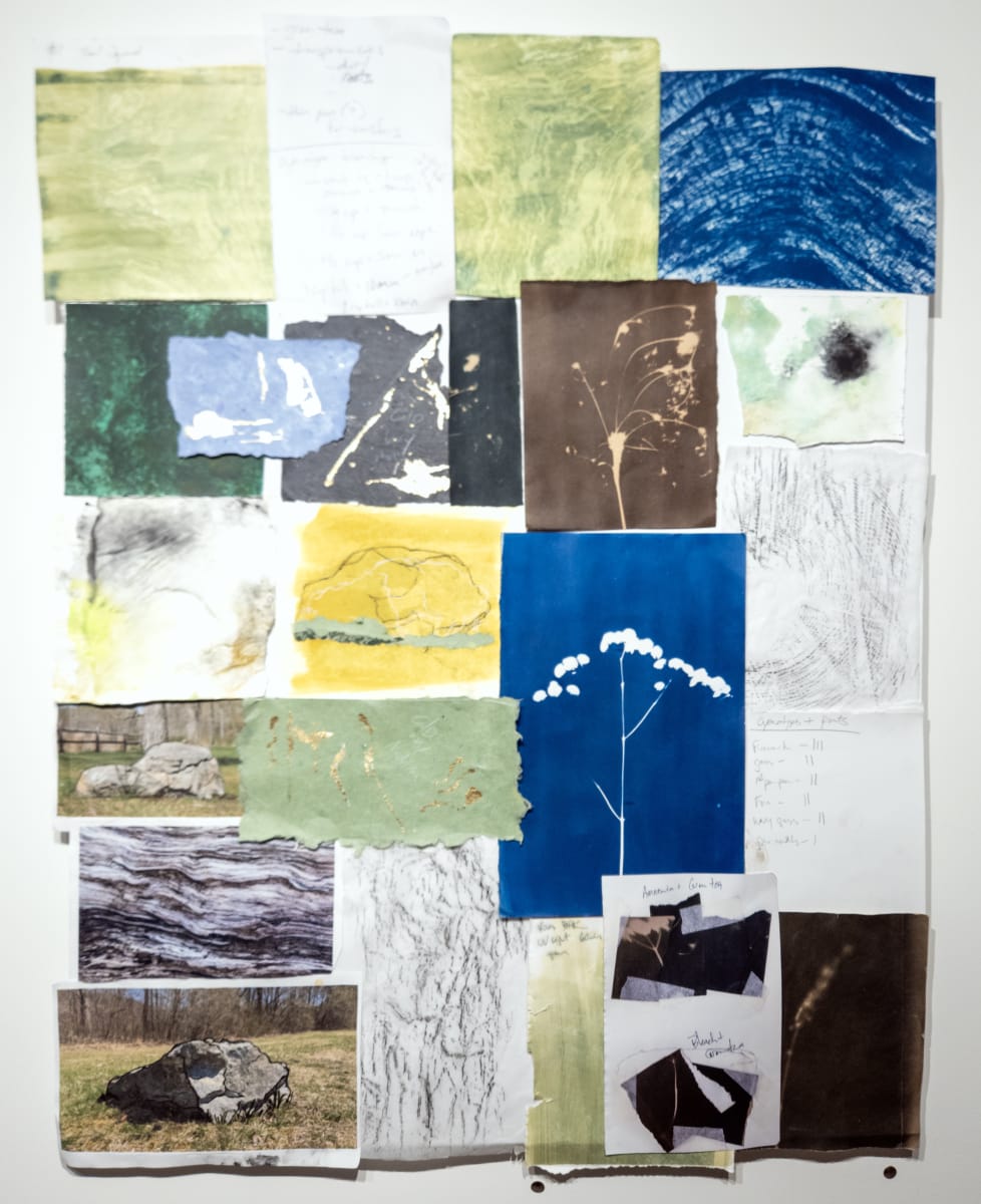 WPR Documentation 1 (canvas) by Allison Belolan 