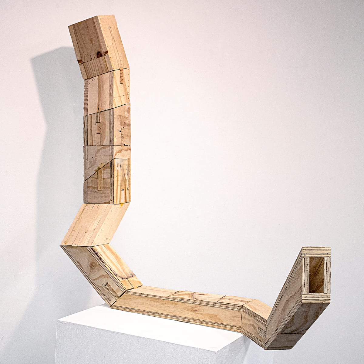 Interconnected by Ashlin Cheyenne, Image 1.