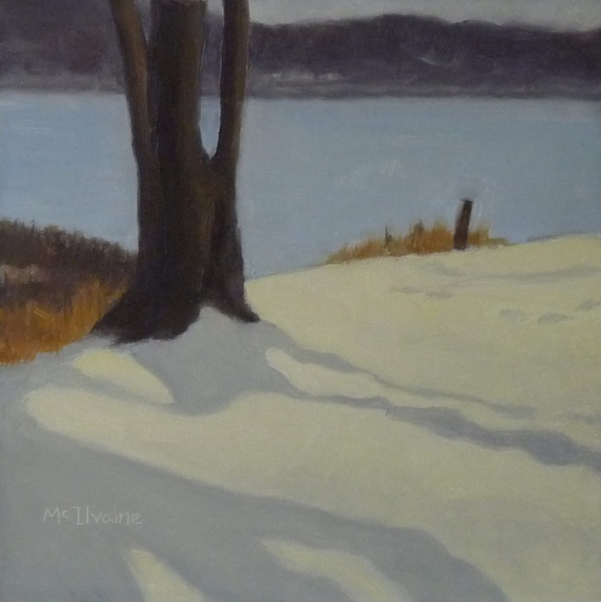 A Shadow Poem by Joanne McIlvaine, Image 8.