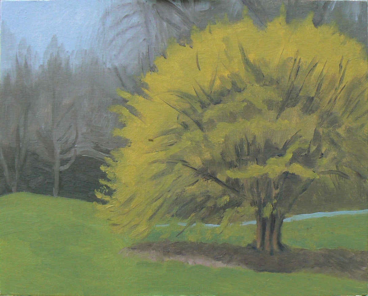Nature's First Green by Joanne McIlvaine 