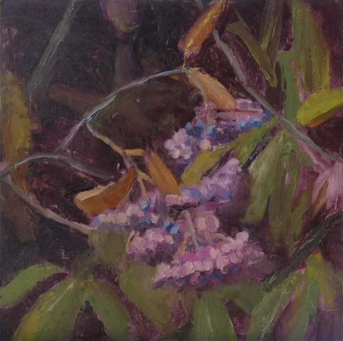 Vibrant Berries by Joanne McIlvaine  Image: Painted at Wolf Museum garden