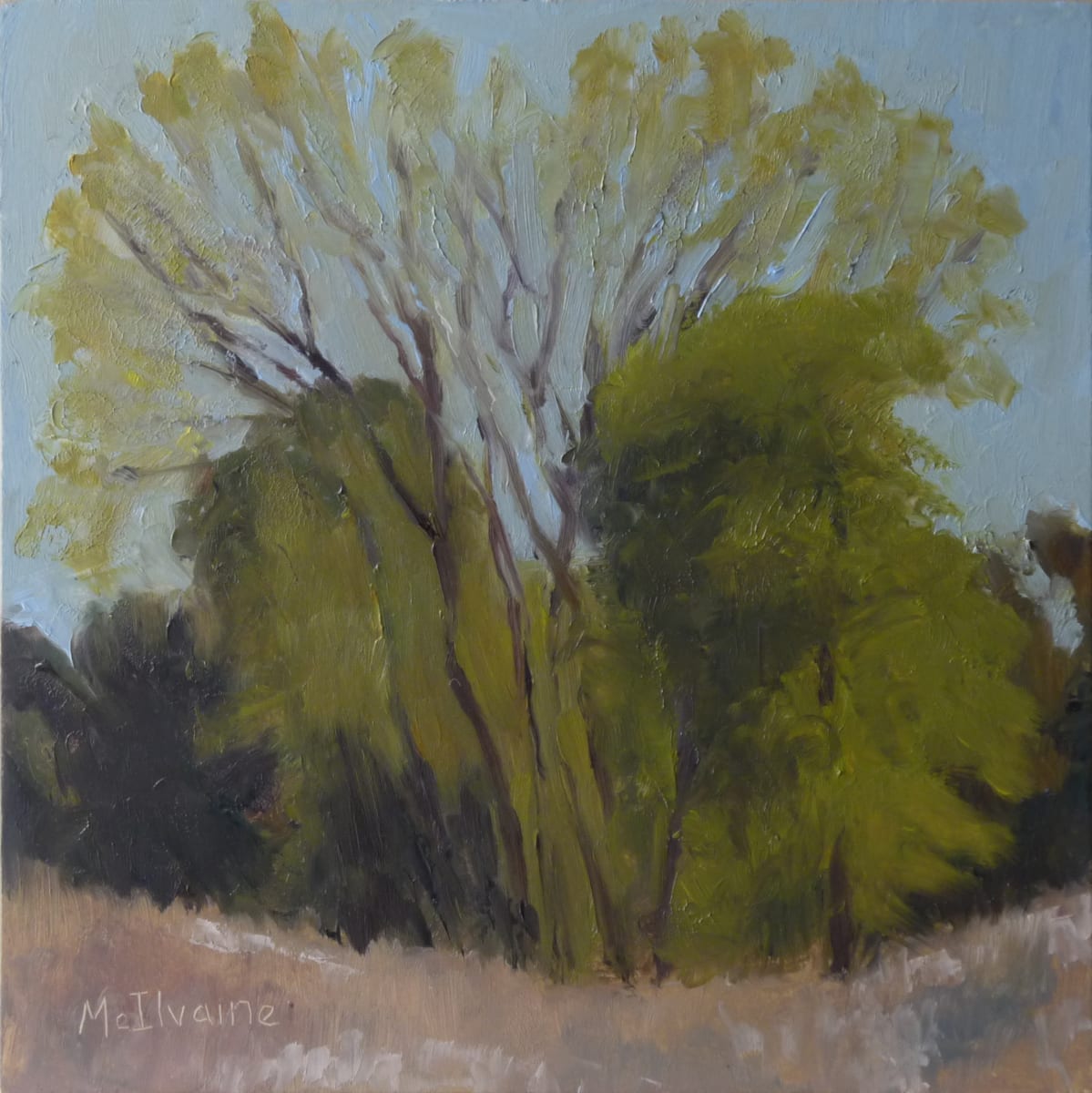 Noon Symmetry by Joanne McIlvaine 