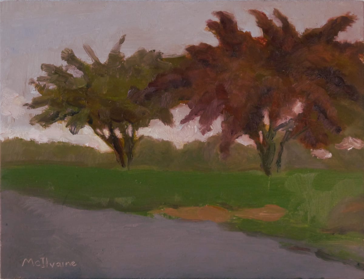 Pink At Sunset by Joanne McIlvaine 