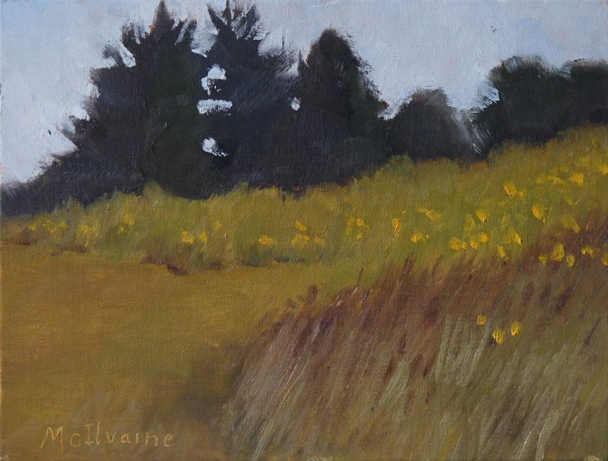 Flowered Fields by Joanne McIlvaine  Image: Painted at Samuel Lewis State Park in York County, PA.
